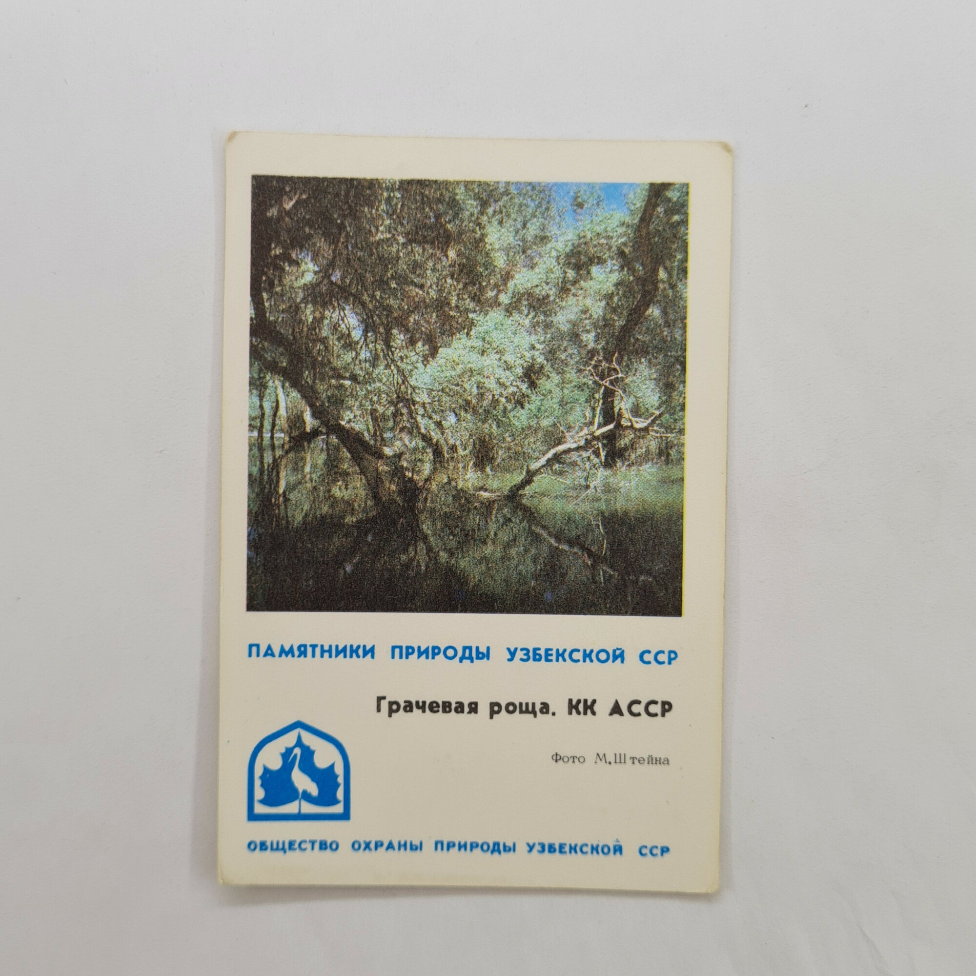 Карманный календарик 1982. Грачеева роща, памятники природы Узбекской ССР. Календарь винтажный
