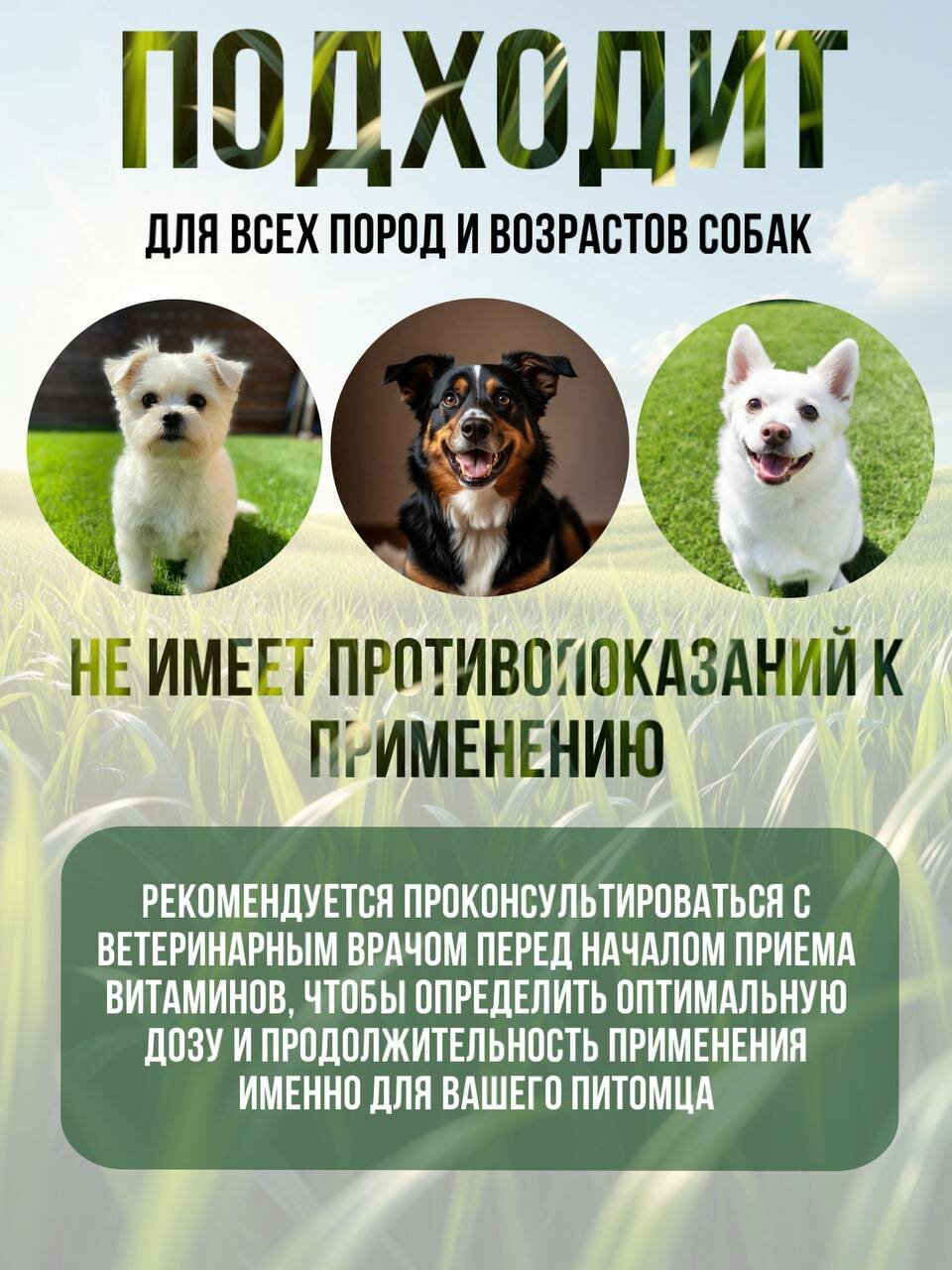 Витамины для собак POLIDEX "Multivitum Plus", мультивитамины, 150 таблеток — фото 1