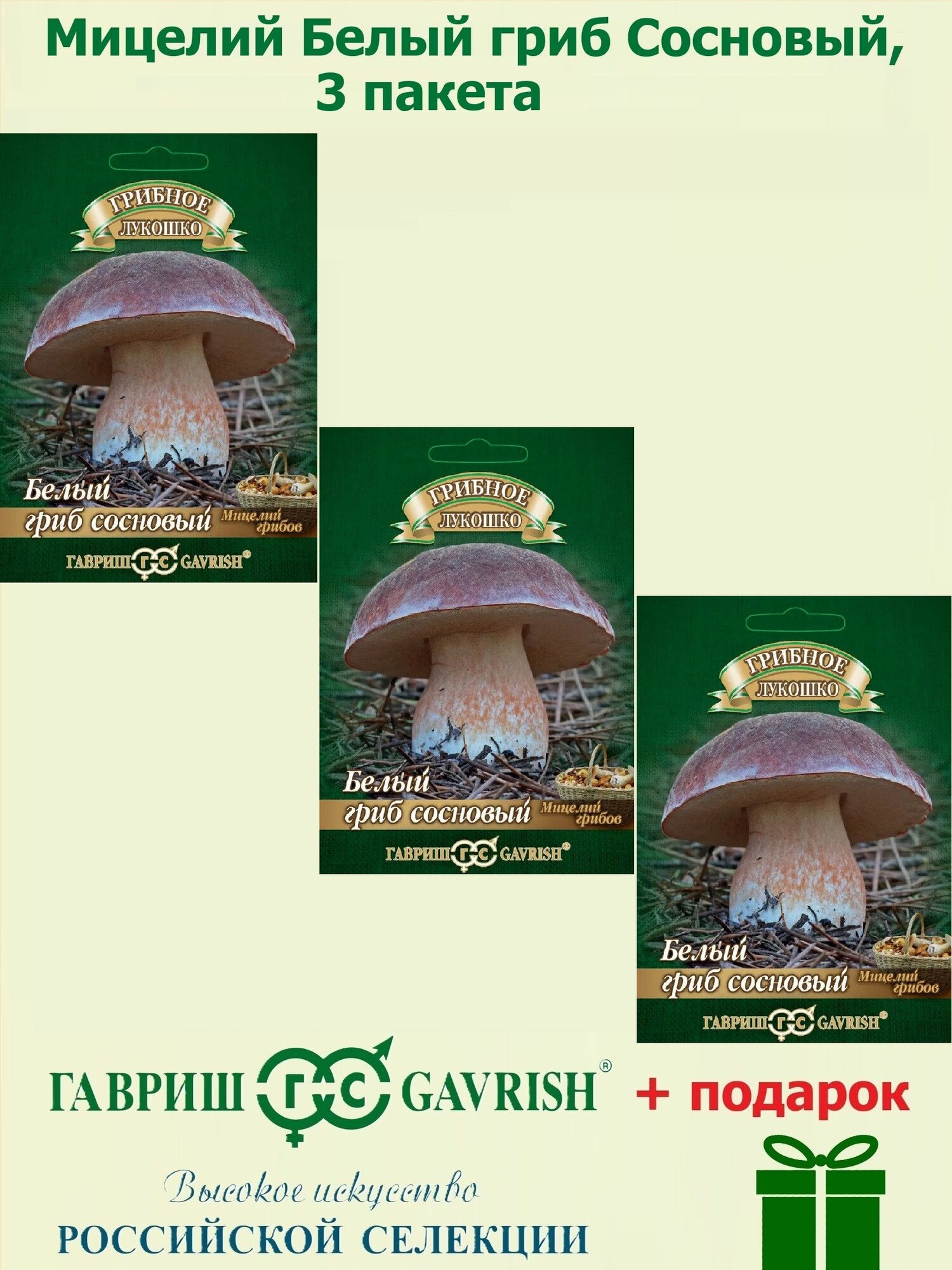 Набор Мицелий Белый гриб Сосновый на зерновом субстрате 3 пакета Гавриш