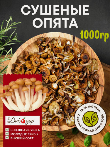 Изображение товара Сушеные грибы опята Дикодар 1 кг, натуральный продукт, сбор 2025 года