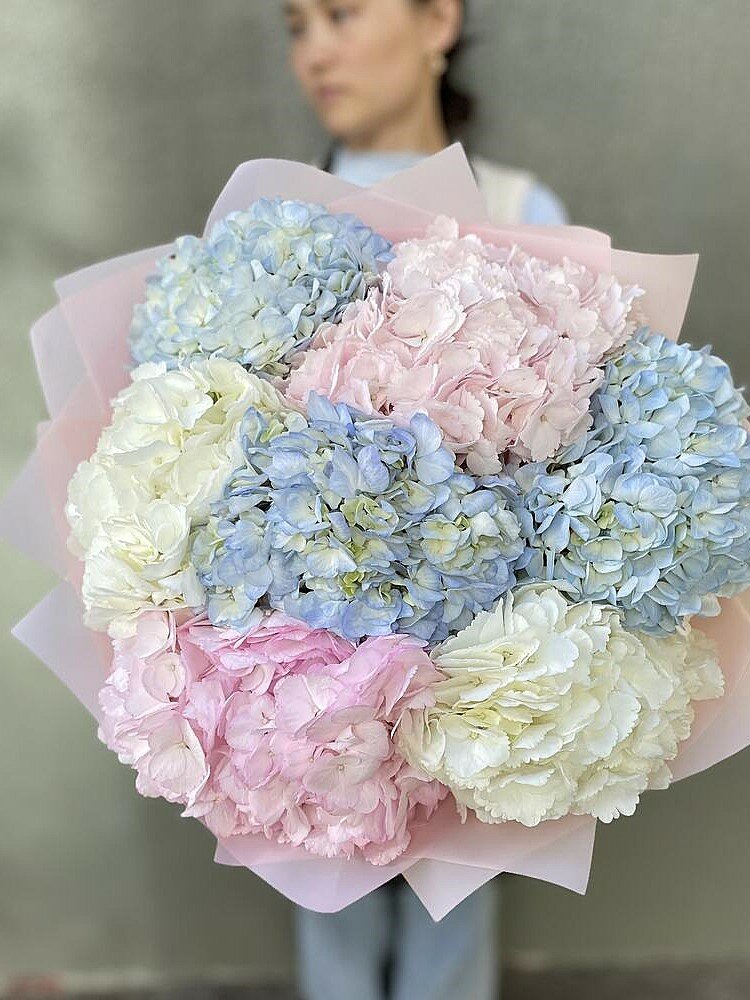 Букет срезанных живых цветов Гортензия 7 стеблей