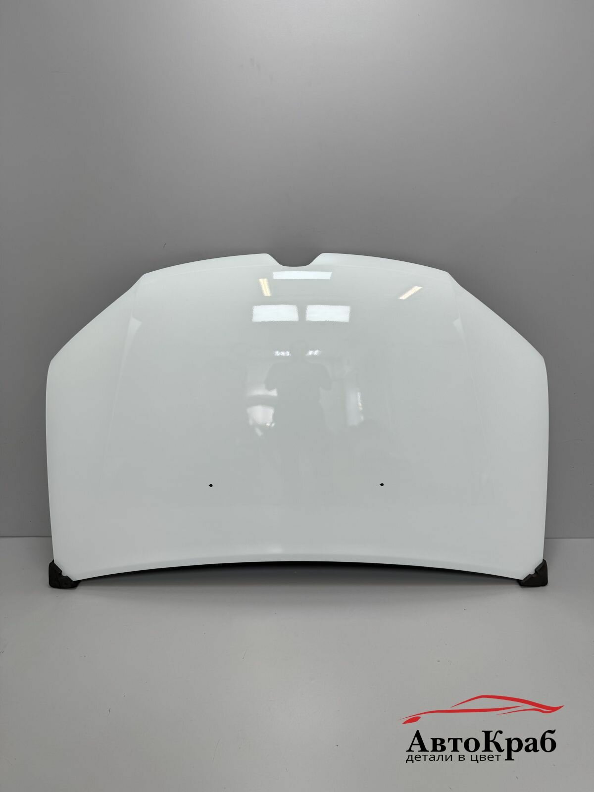 Капот в цвет для Рено Сандеро и Логан 2 2014 - 2022 г. 369 - белый