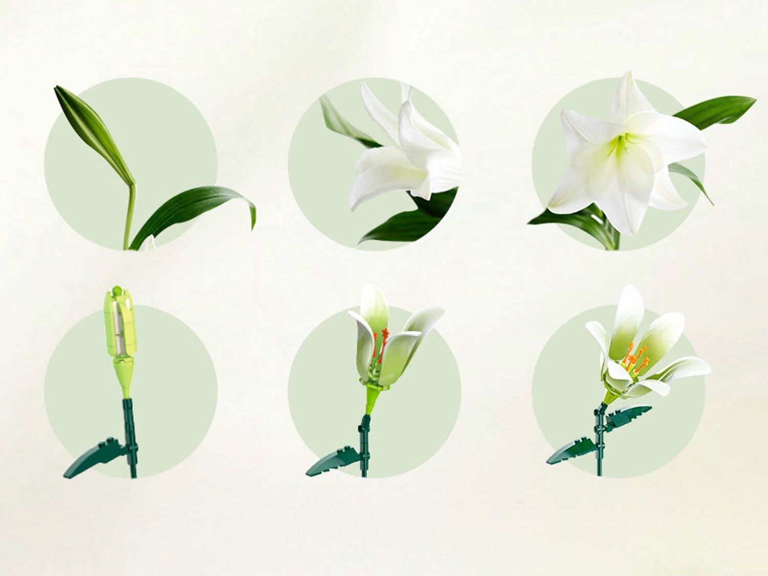 Конструктор Jaki "Букет белых лилий" — фото 1