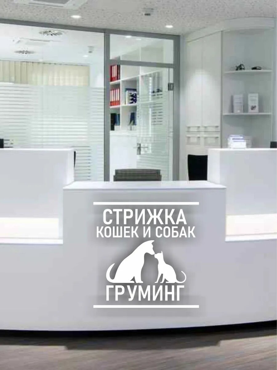 Наклейка стрижка собак и кошек — фото 1