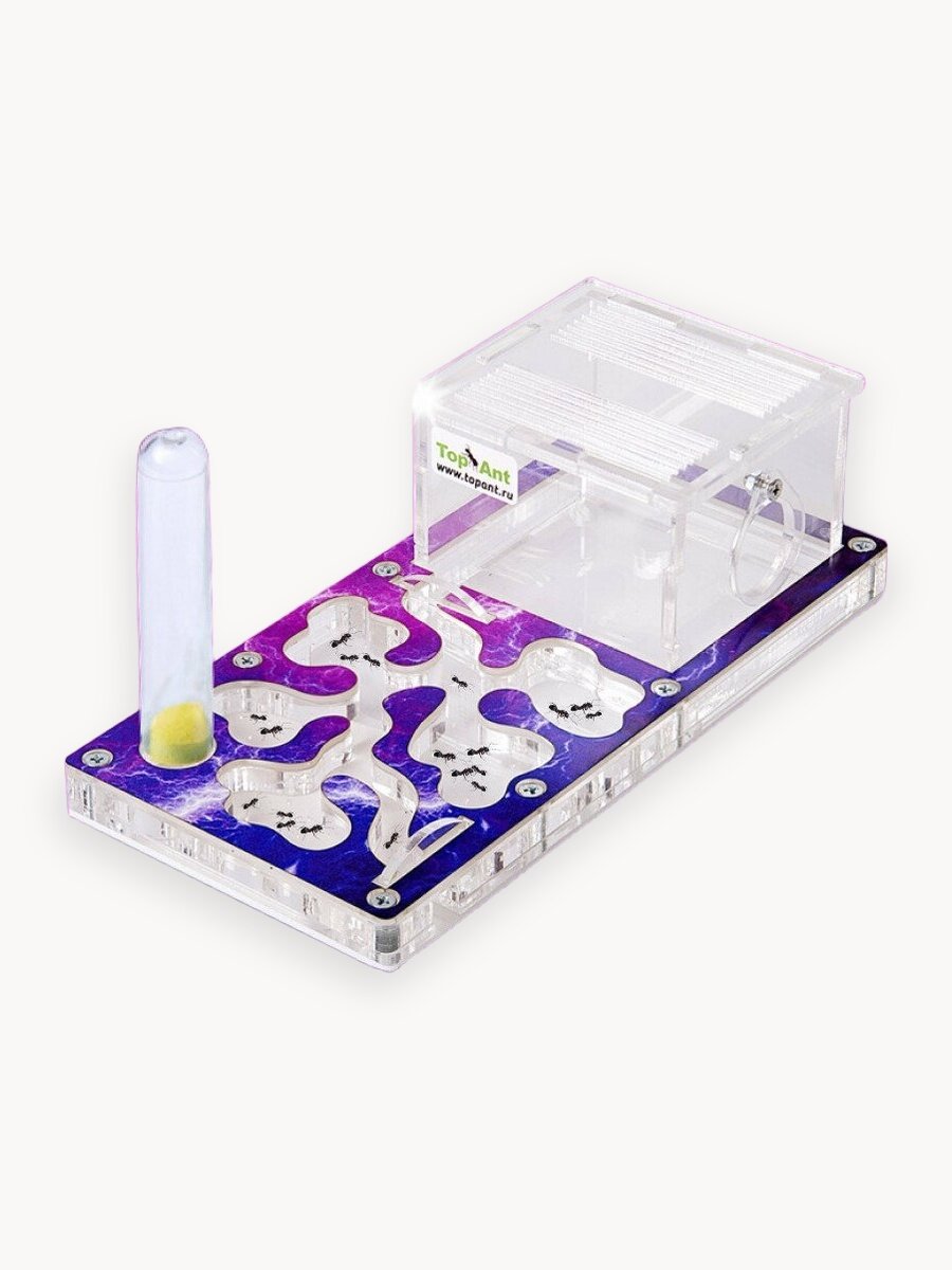 Малая муравьиная ферма максимальный комплект