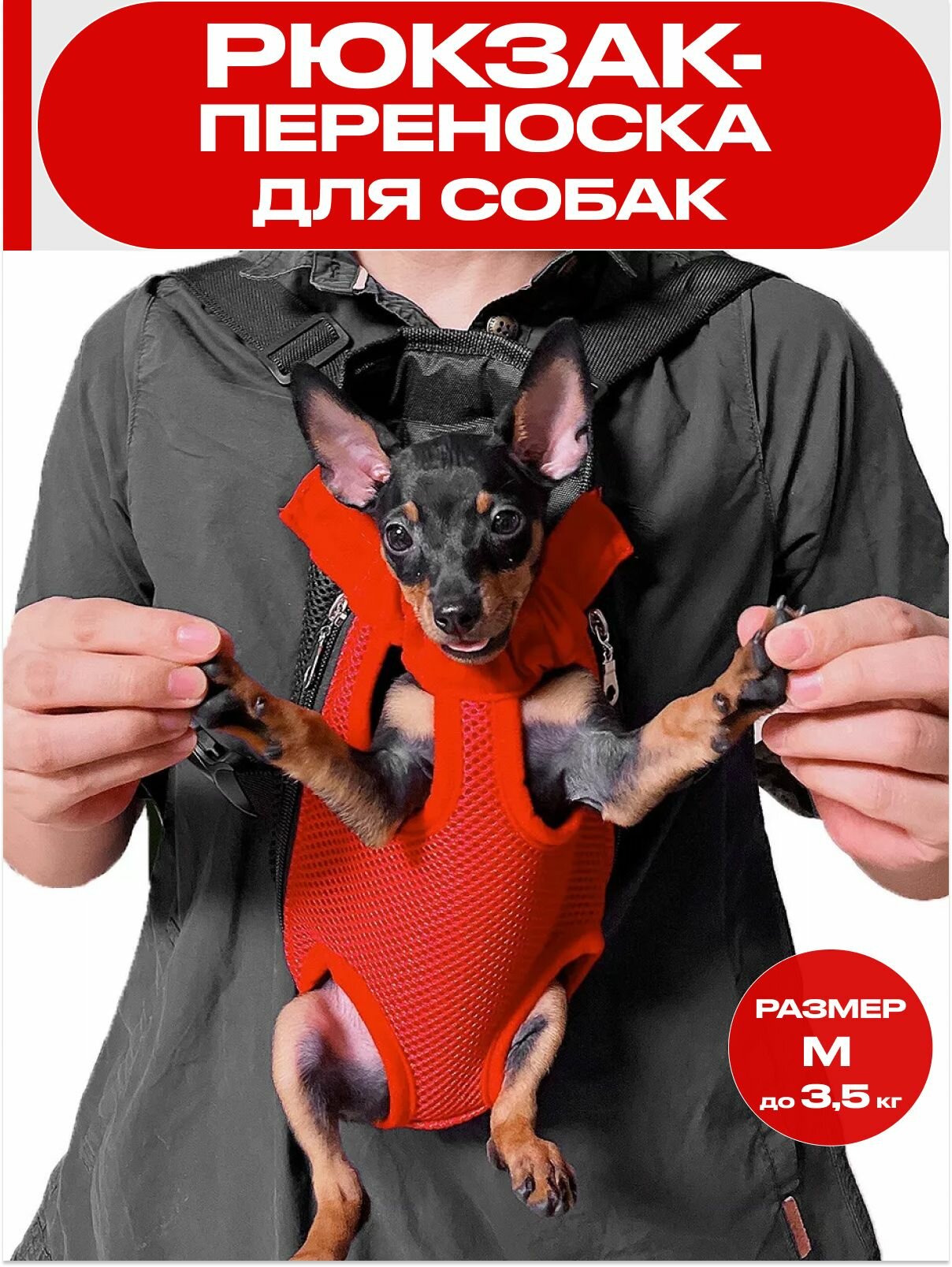 Рюкзак-переноска для кошек и собак