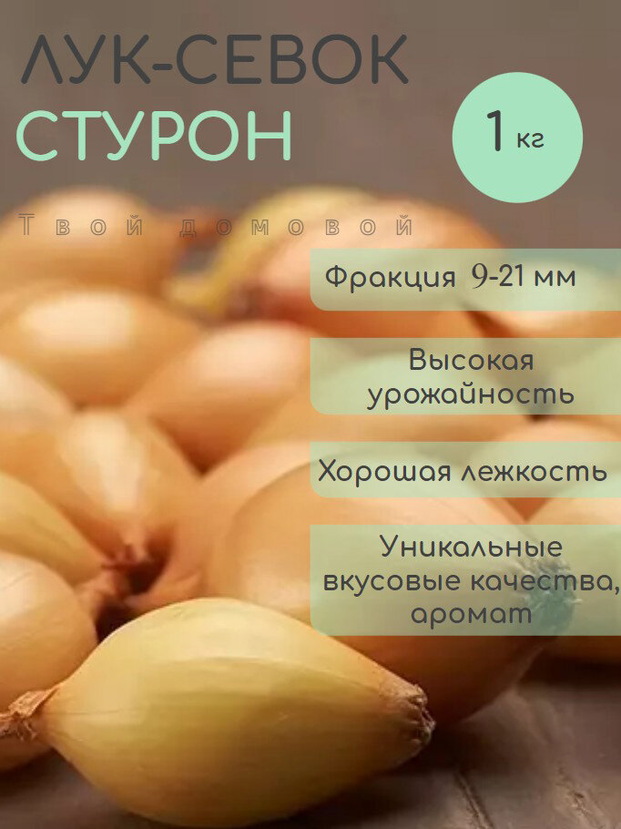 Стурон лук севок желтый 1 кг
