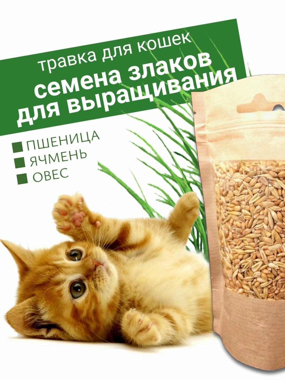 Травка для питомцев для выращивания для кошек и кроликов 100грамм.