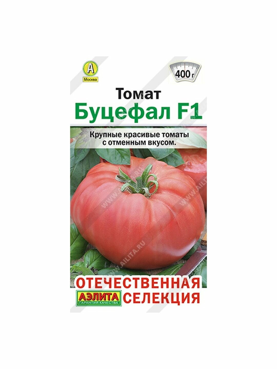 Томат Дебютантка