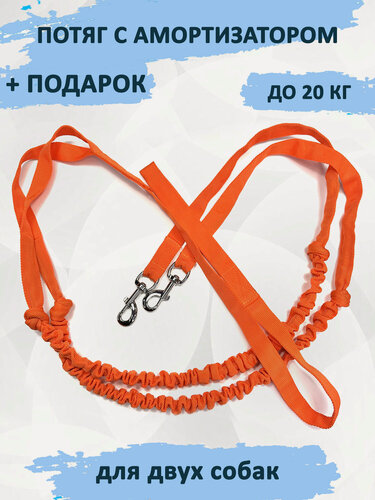 Изображение товара Поводок totemica с амортизатором (потяг) ярко-оранжевый для двух средних собак 2,8 м.