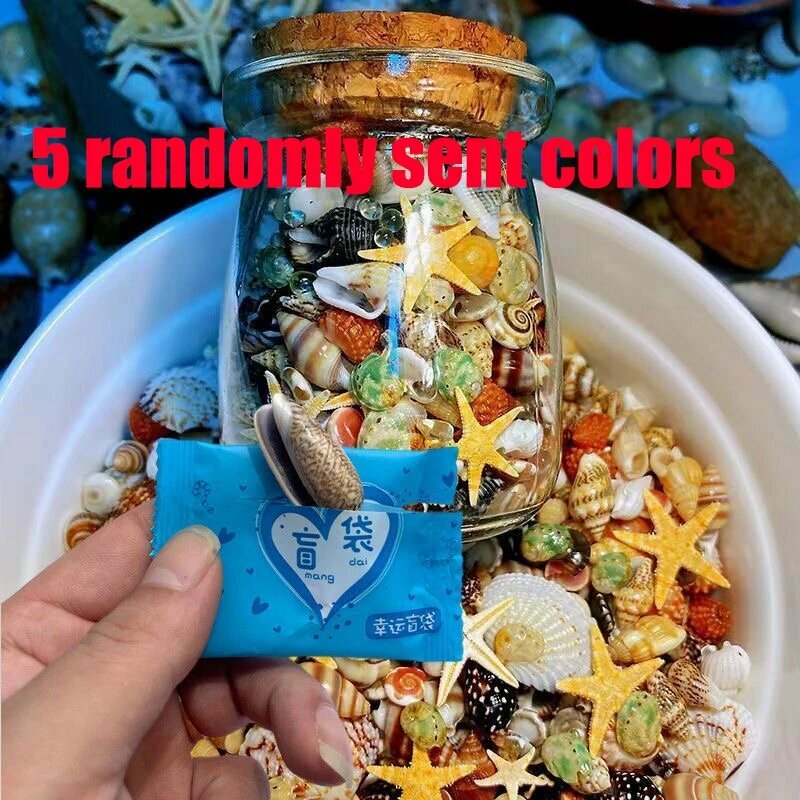 Ракушки морские в бутылке, 5 шт, цвет Random-5pcs