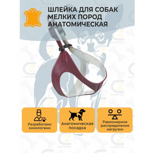 фото Анатомическая шлейка /шлейка-жилетка для собак кожаная chokerz премиум для мелких собак (шея: 34 см; грудь: 40 см)