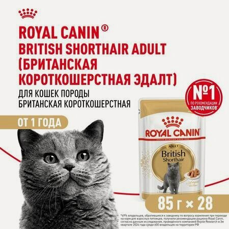 Изображение товара ROYAL CANIN BRITISH SHORTHAIR ADULT 28 шт по 85 г кусочки в соусе, влажный корм для кошек британской, короткошерстной породы, старше 12 месяцев
