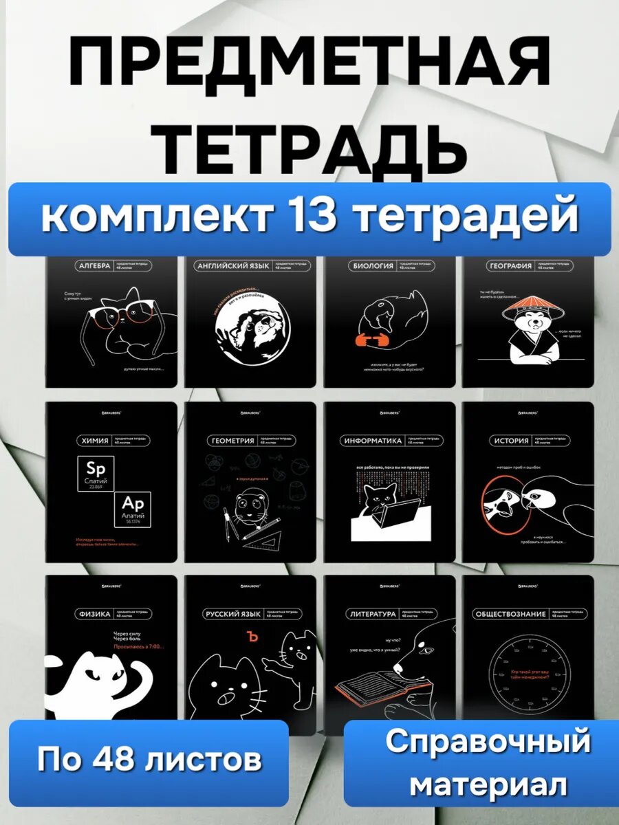 Тетради школьные предметные 48 листов набор 13 шт черные
