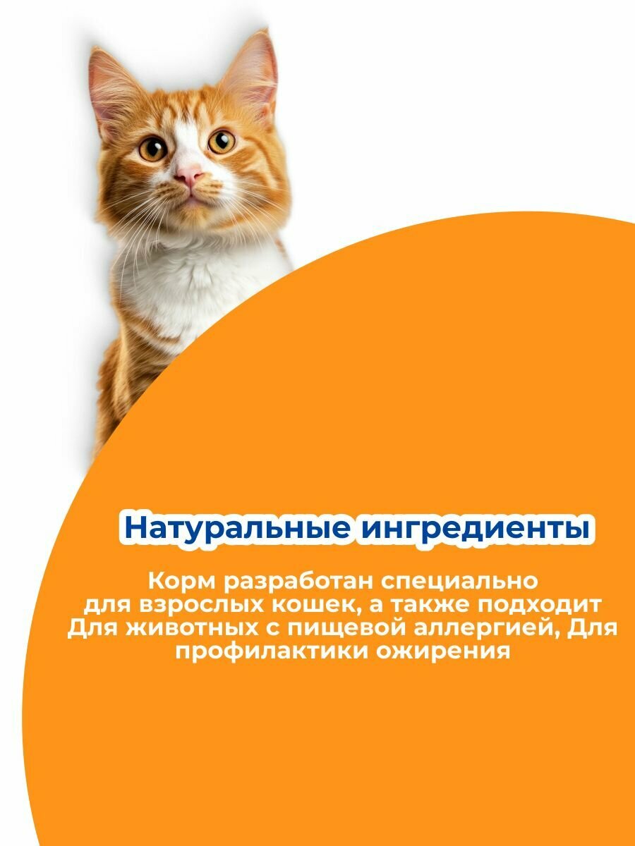 Monge Cat Monoprotein влажный корм для взрослых кошек с уткой, 85г х 28шт — фото 1
