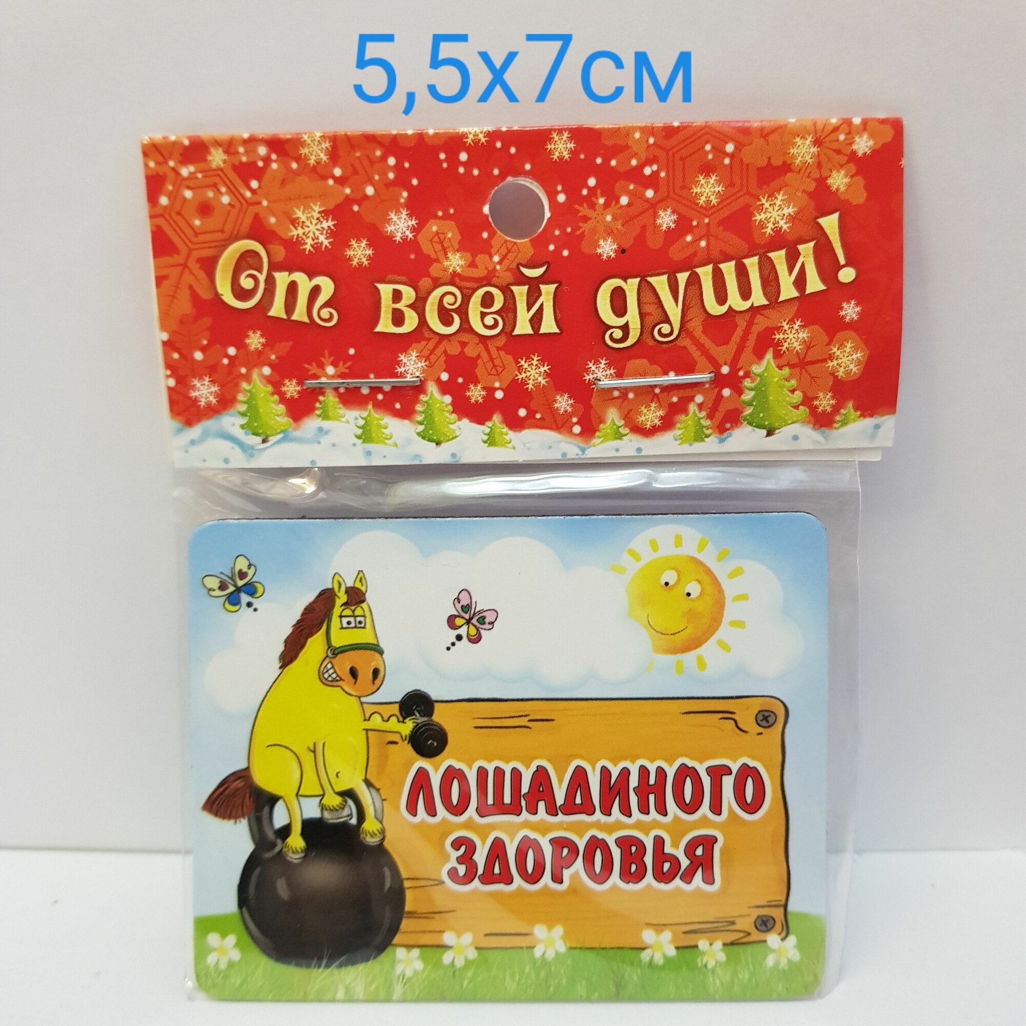 Изделие декоративное Магнит " Лошадиного Здоровья!" 5,5х7см, полирезина, 5662А