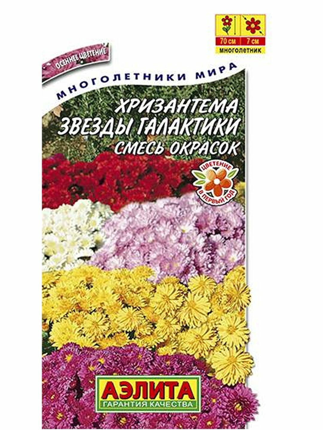 Семена Хризантема Звезды галактики смесь многолетник Аэлита 1 пачка - 0.02г семян