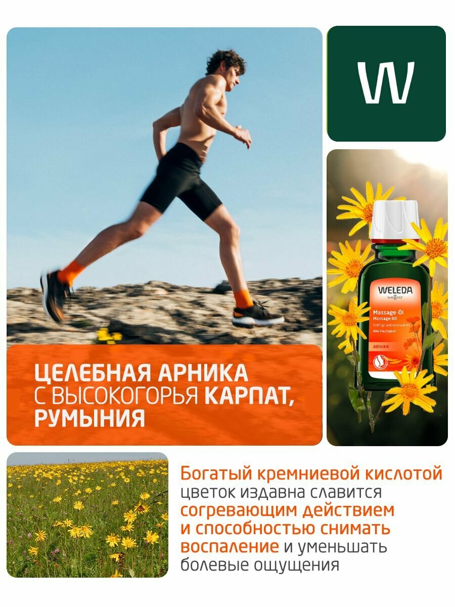 Weleda Массажное масло с арникой, для всех типов кожи, 50 мл — фото 1