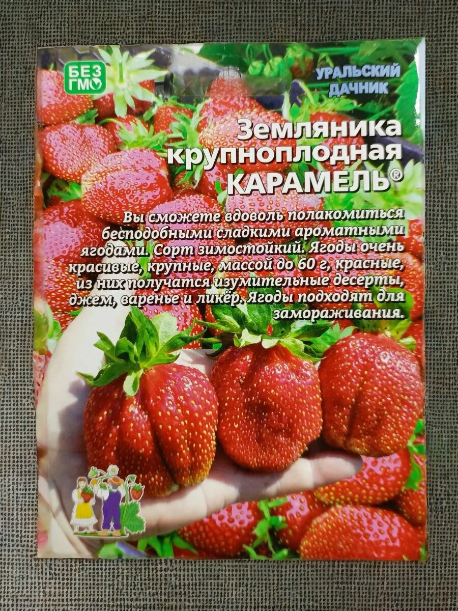 Семена земляники крупноплодной Уральский дачник 