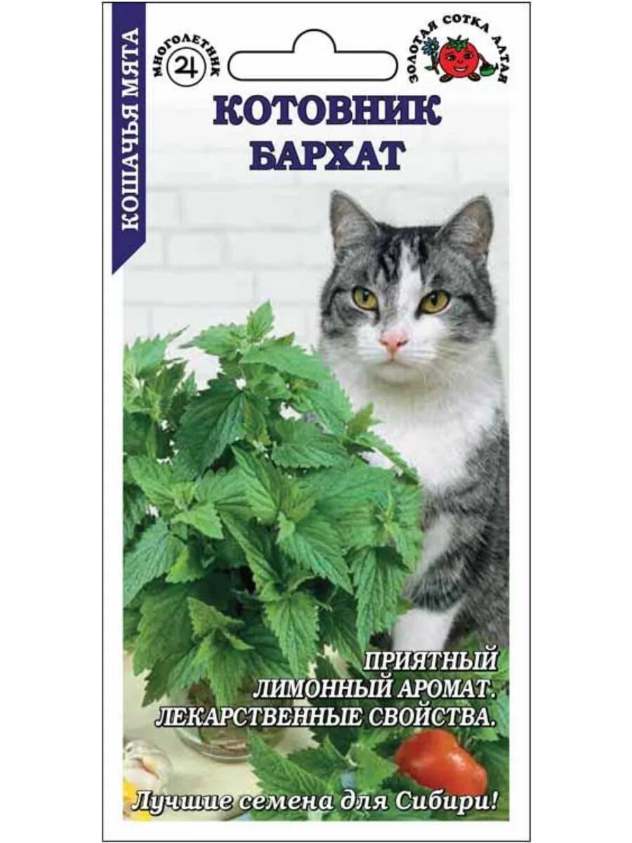 Котовник Бархат / 0,2г /