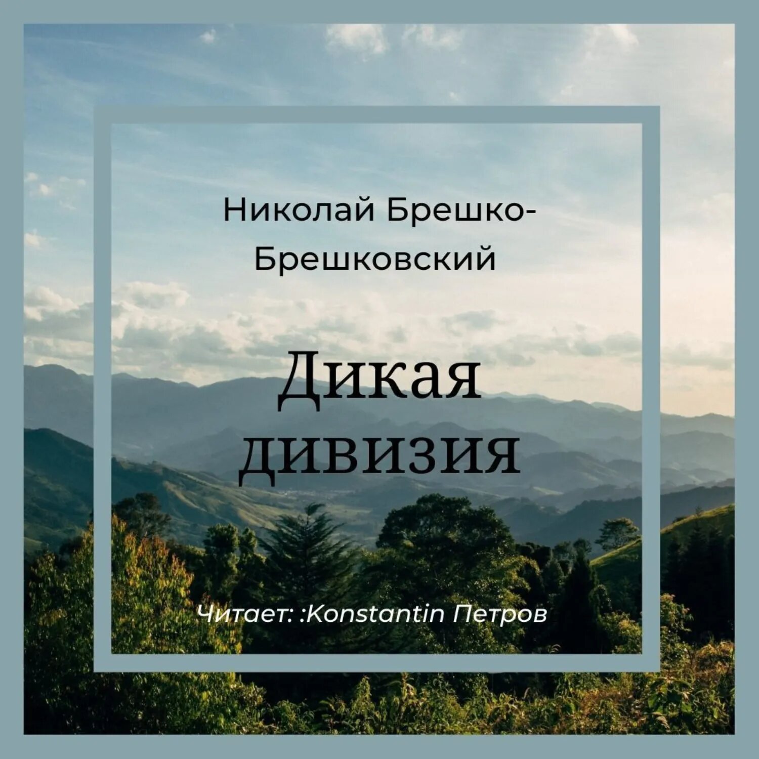 Дикая дивизия [Аудиокнига]