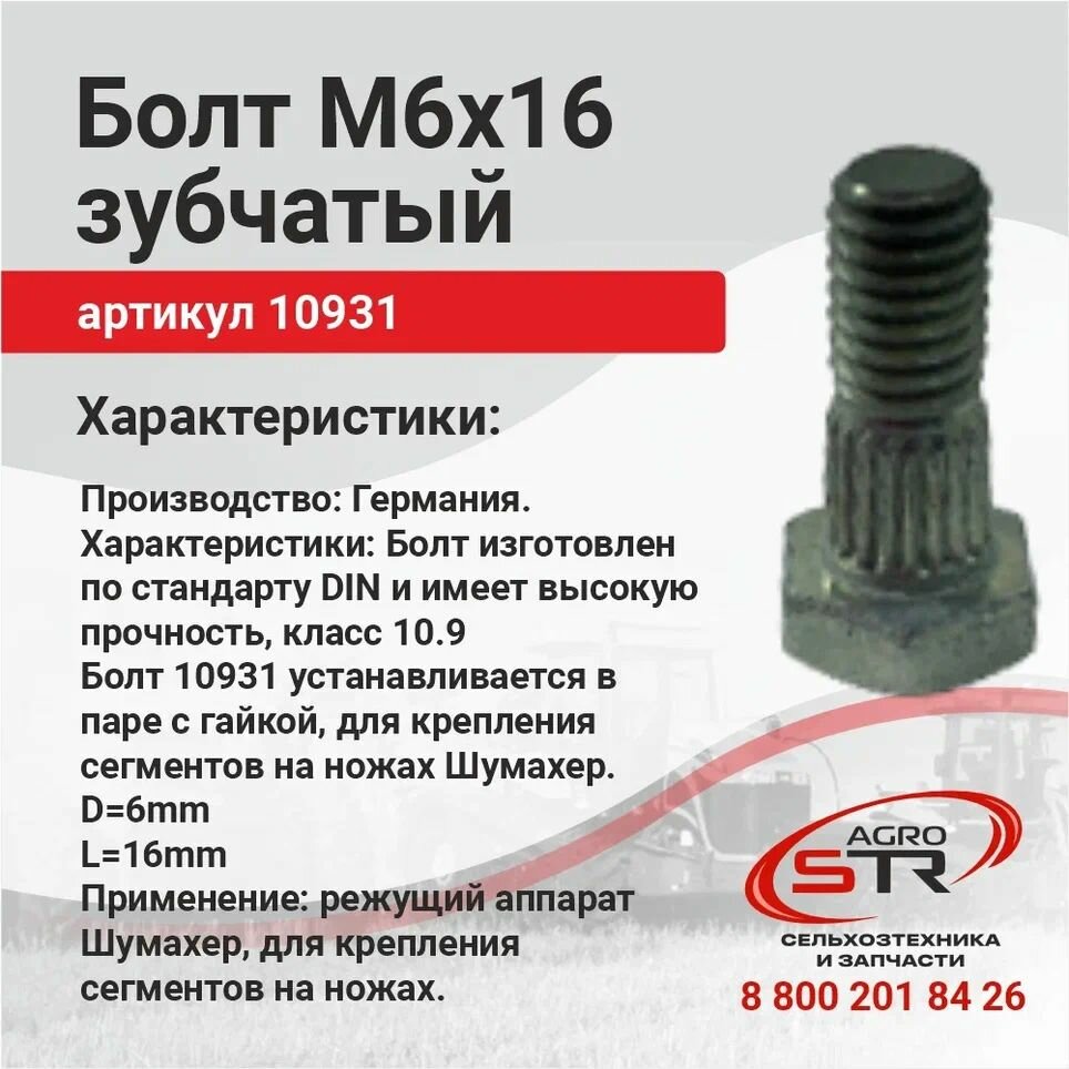 SCH (шумахер) 10931 Болт М6х16 зубчатый (крепления сегмента)