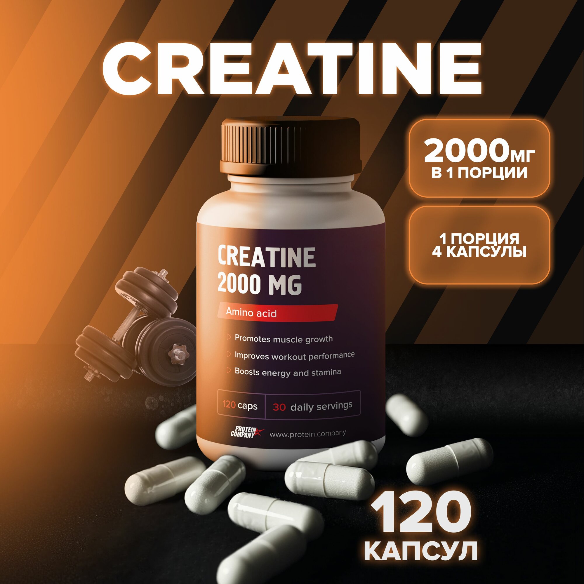 Креатин Моногидрат 2000 мг, для набора мышц и выносливости, 120 капсул PROTEIN.COMPANY