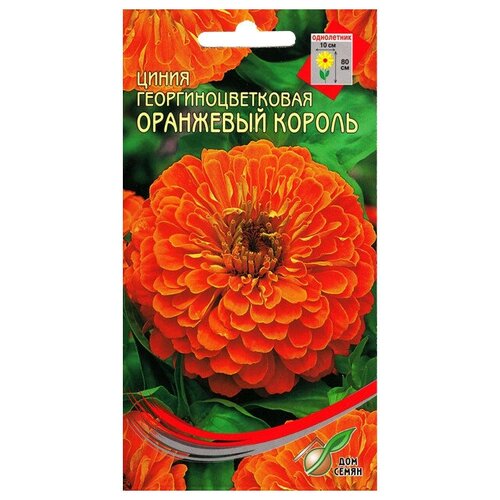 Семена Цинния Оранжевый король 35шт для дачи, сада, огорода, теплицы / рассады в домашних условиях