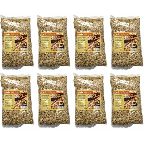 Овес посевной (сидерат), 500 гр, 8 шт.