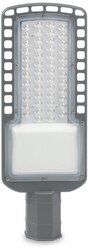 Светильник уличный консольный LED 100W 6000К IP65 Smartbuy SL3