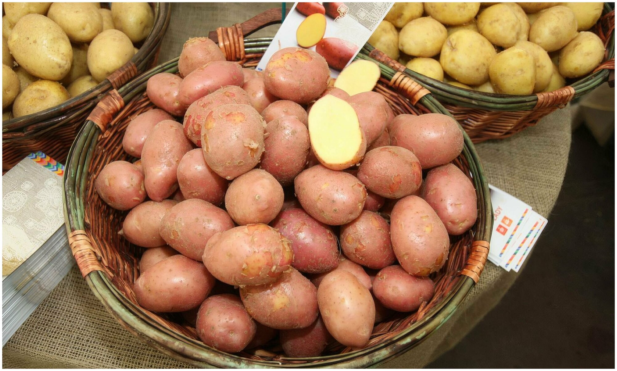 Картофель "Розара", 2 кг, в сетке, семенной, цвет красный, скороспелый, отличается высокой урожайностью и отменным вкусом - фотография № 5