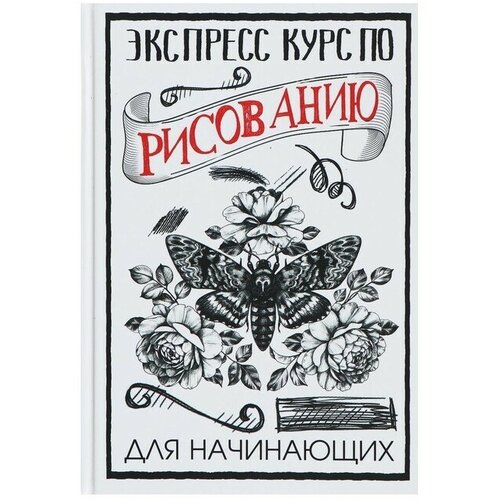 Экспресс курс по рисованию для начинающих. Грей М. грей мелисса экспресс курс по рисованию раскрась меня