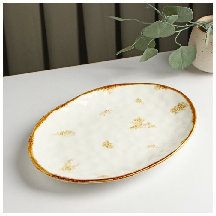 Блюдо керамическое Доляна «Космос», 30×21×2,5 см, цвет белый