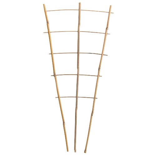 Опора для растений из бамбука Высотка 24х45,5 см