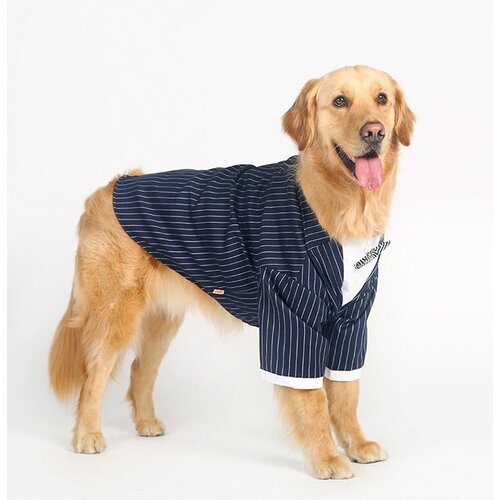 Одежда для собак. Костюм 