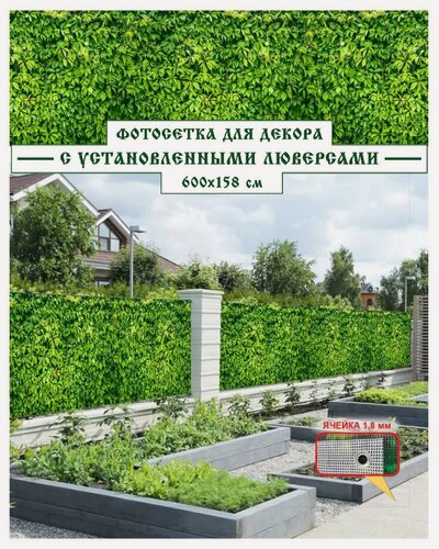 Изображение товара Фотосетка Мечта 600x158 см, "Дикий виноград"