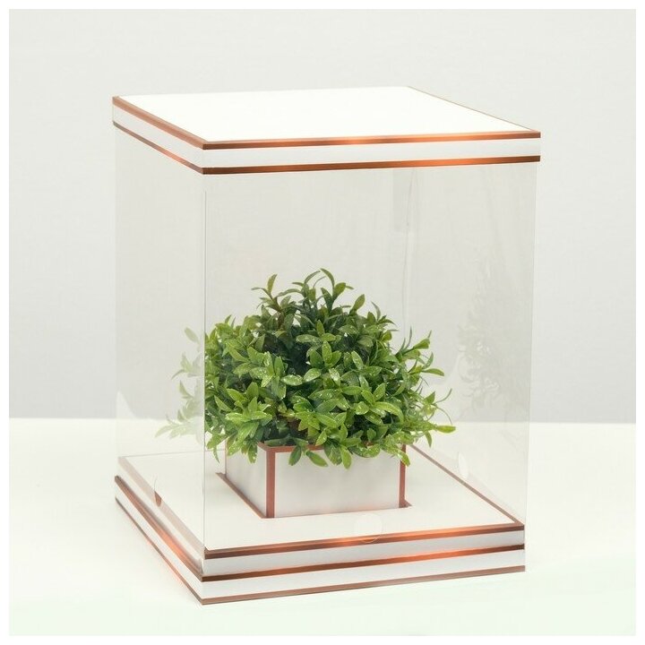 UPAK LAND Коробка для цветов с вазой и PVC окнами складная, бронза, 23 х 30 х 23 см