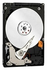 Жесткий диск Western Digital WD Blue 250 ГБ WD2500LPCX