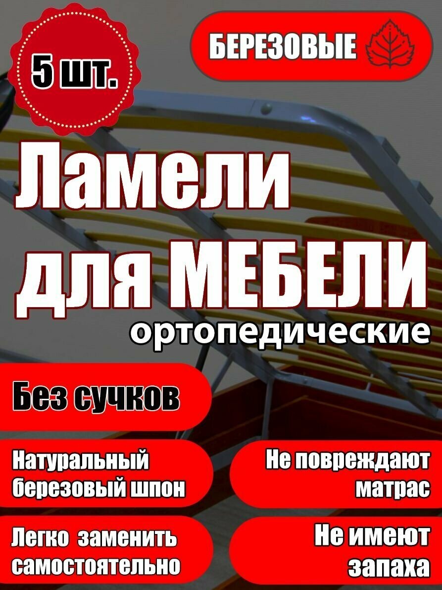 Ламель ортопедическая 800/60/8, гнутая, из березы, толщиной 8 мм - набор из 5 шт (Рейки для кровати дивана раскладушки, деревянные) - фотография № 1