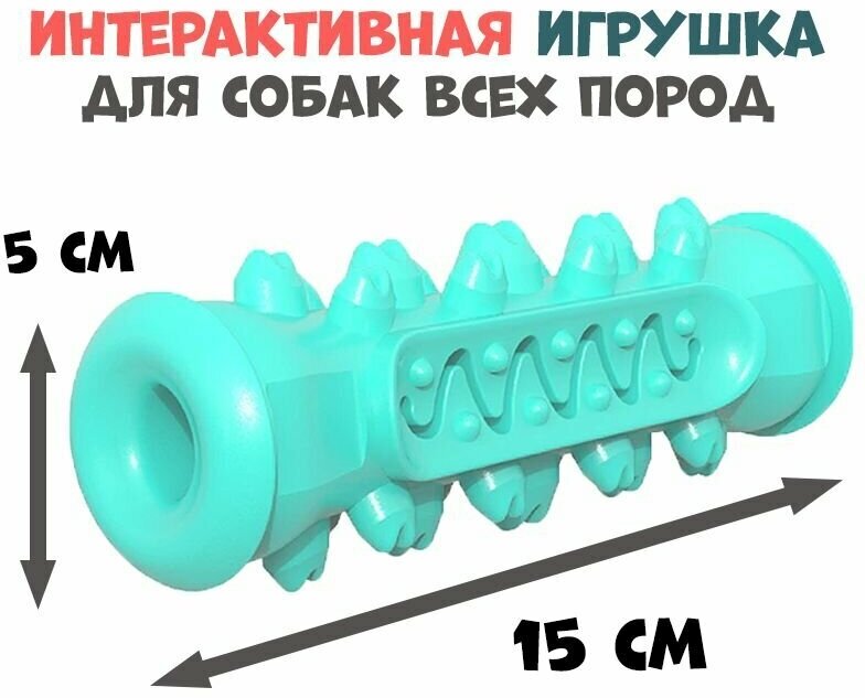 Игрушка жевательная для собак с шипами "Футуристическая косточка", бирюзовый - фотография № 1