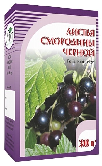 Смородина черная, листья 30гр