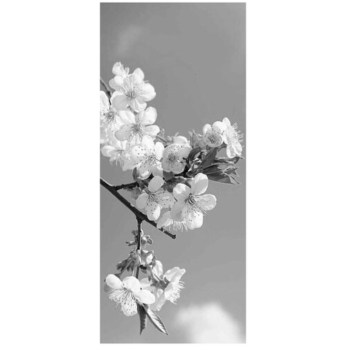 Самоклеящиеся фотообои Яблоня в цвету, размер: 90x210 см, эффект: черно-белый, отраженный