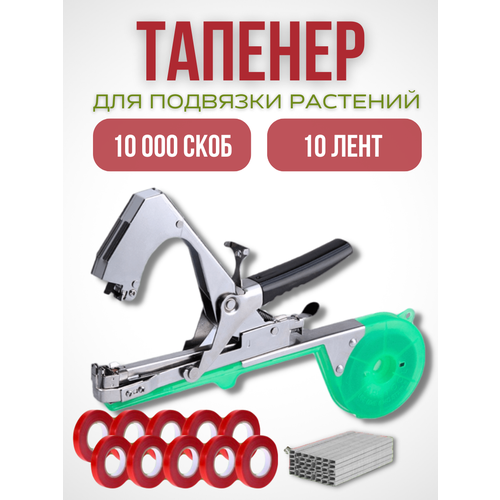 Тапенер