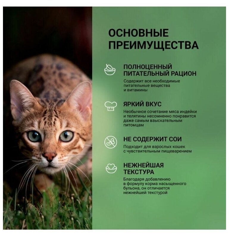 Wellkiss Консервы для кошек индейка и телятина, 100 г, 6 шт - фотография № 4