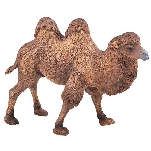 collecta коллекционная статуэтка гривистая овца размер l Collecta Двугорбый верблюд L 88807b с 3 лет