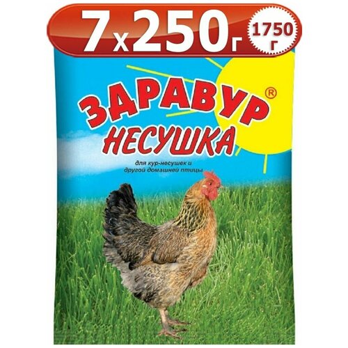 1750г Здравур Несушка для кур-несушек и другой домашней птицы 250 г х7 шт Кормовая добавка Ваше Хозяйство