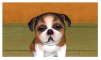 Игра для PlayStation Portable Petz: My Puppy Family