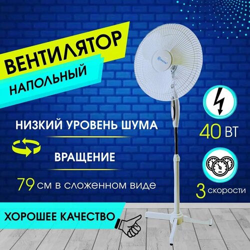 Вентилятор напольный Восток стиль 4012 белый 179000₽