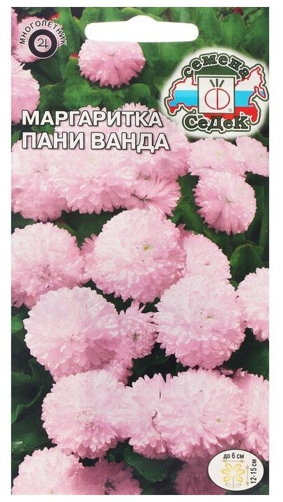 Семена Цветов Маргаритка