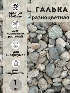 Галька разноцветная(пестрая) 20-40мм (1кг) Грунт для аквариума/террариума